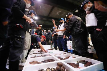 広島魚市場